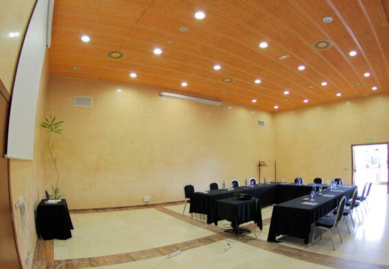 SALA OLIVO