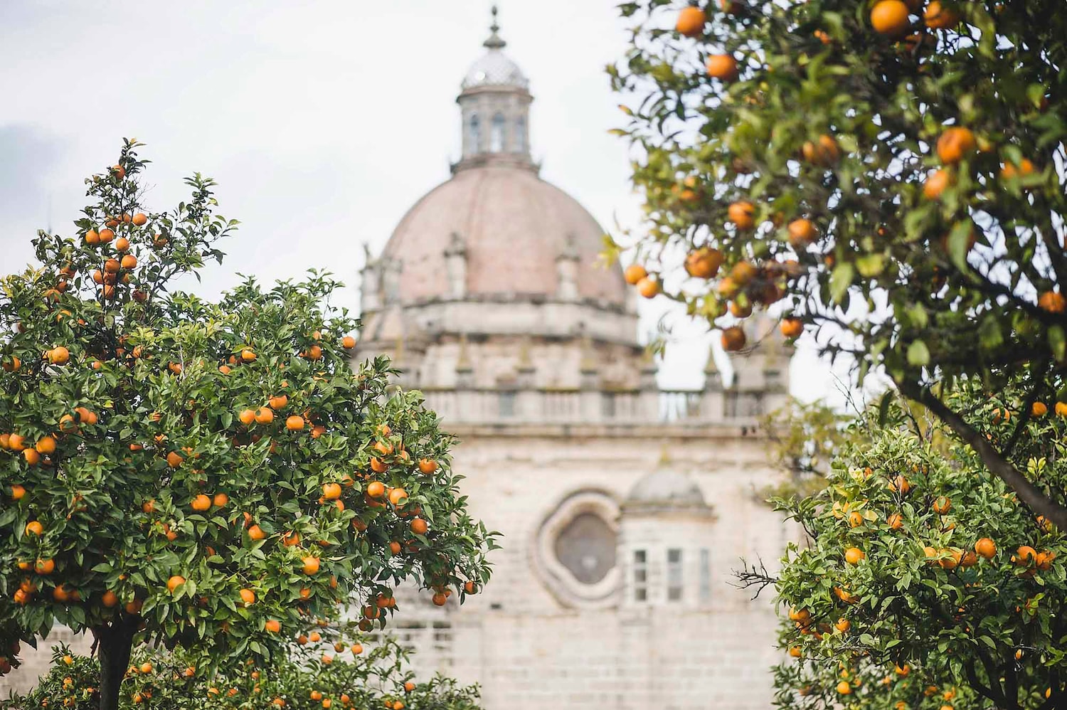 Cádiz - Jerez de la Frontera