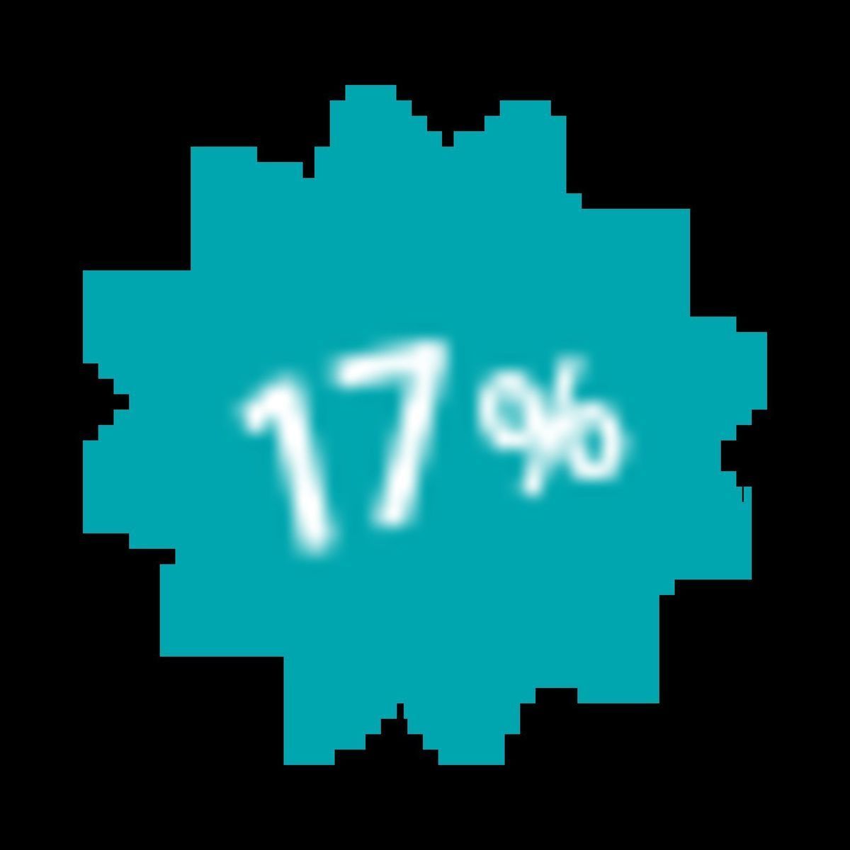 17% discount Promotion