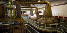 Package including visit to “Whisky DYC” distillery