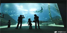 Oceanario