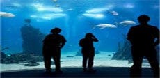 Oceanario de Lisboa