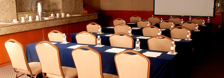 Hotel Eurostars Zona Rosa Suites