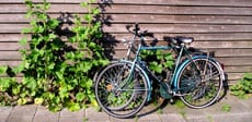 En bicicleta por la ciudad!


